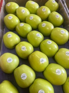 WhatsApp Image 2025-07-29 at 9.22.12 AM