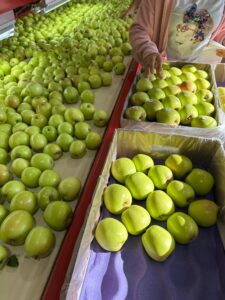 WhatsApp Image 2025-07-29 at 9.38.09 AM