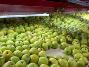 WhatsApp-Image-2025-11-20-at-11.05.21-PM