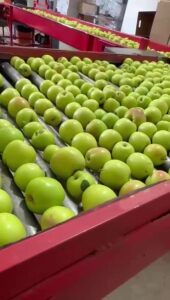 WhatsApp Video 2025-07-24 at 2.26.27 PM - frame at 0m35s