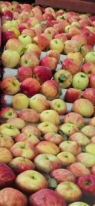 WhatsApp Video 2025-08-08 at 12.25.45 PM (2) - frame at 0m0s