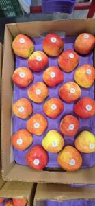 WhatsApp Video 2025-08-08 at 12.25.45 PM - frame at 0m22s