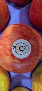 WhatsApp Video 202t 12.25.45 PM - frame at 0m22s